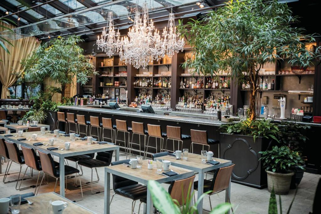 NoMo SoHo photo