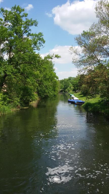 a boat on a river with trees on the side at Kastanienhof Lübben in Lübben