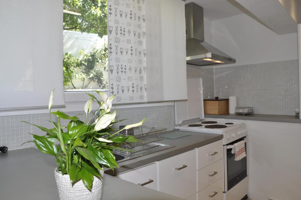 Kuchyň nebo kuchyňský kout v ubytování Ava Apartments
