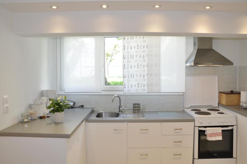 Kuchyň nebo kuchyňský kout v ubytování Ava Apartments