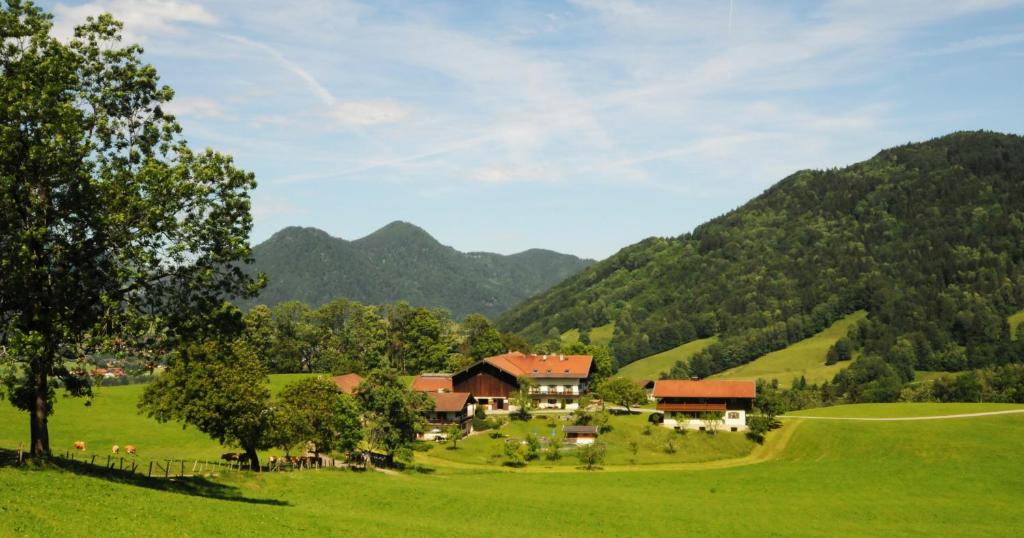 een boerderij in een veld met bergen op de achtergrond bij Plenkhof in Ruhpolding