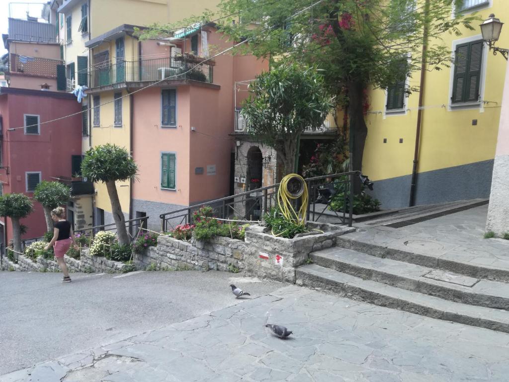 a cat sitting on a sidewalk next to a building at Locanda Ca Dei Duxi in Riomaggiore