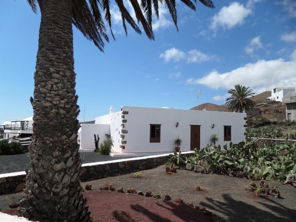 un bâtiment blanc avec un palmier en face dans l'établissement Finca de los Abuelos, à Guatiza