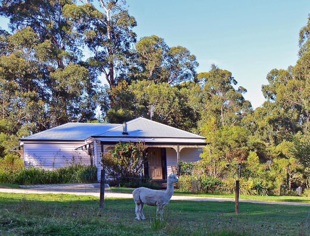 a white horse standing under an umbrella in a field at Araluen Park Cottages in Lakes Entrance