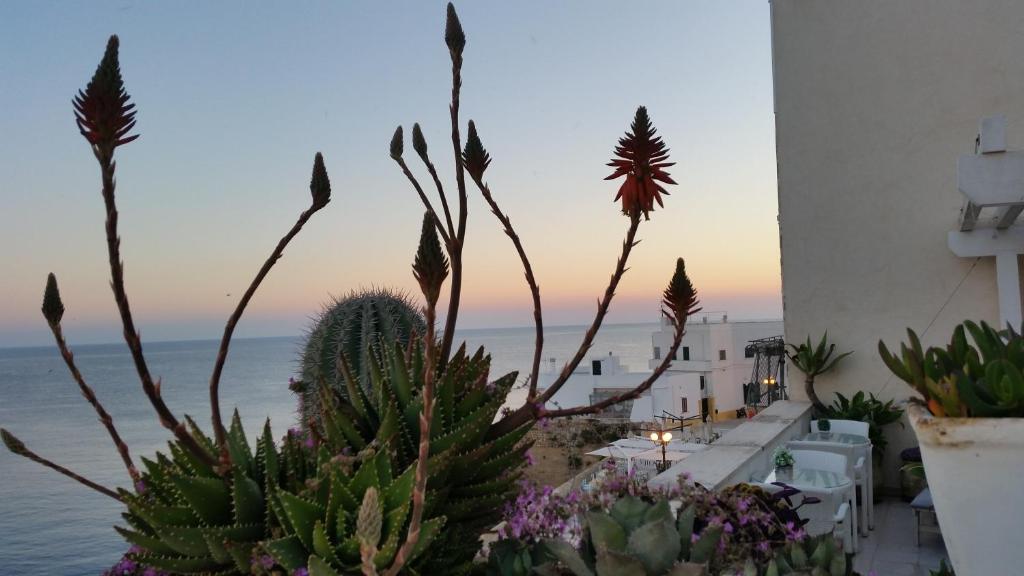 a view of the ocean from a house with plants at B&B Punta Cutieri in Gallipoli