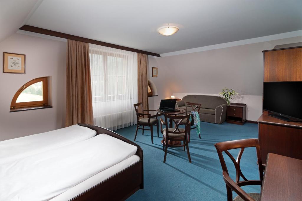 TV a/nebo společenská místnost v ubytování Hotel Zátiší