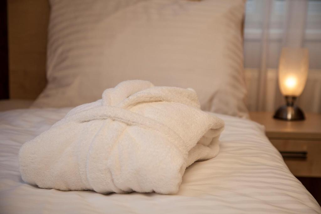 Fotografie z fotogalerie ubytování Hotel Terra v Janských Lázních