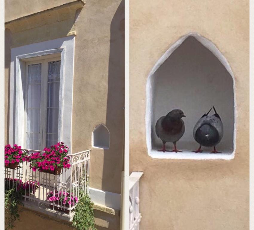 Zdjęcie z galerii obiektu Casa 28 w mieście Canosa di Puglia