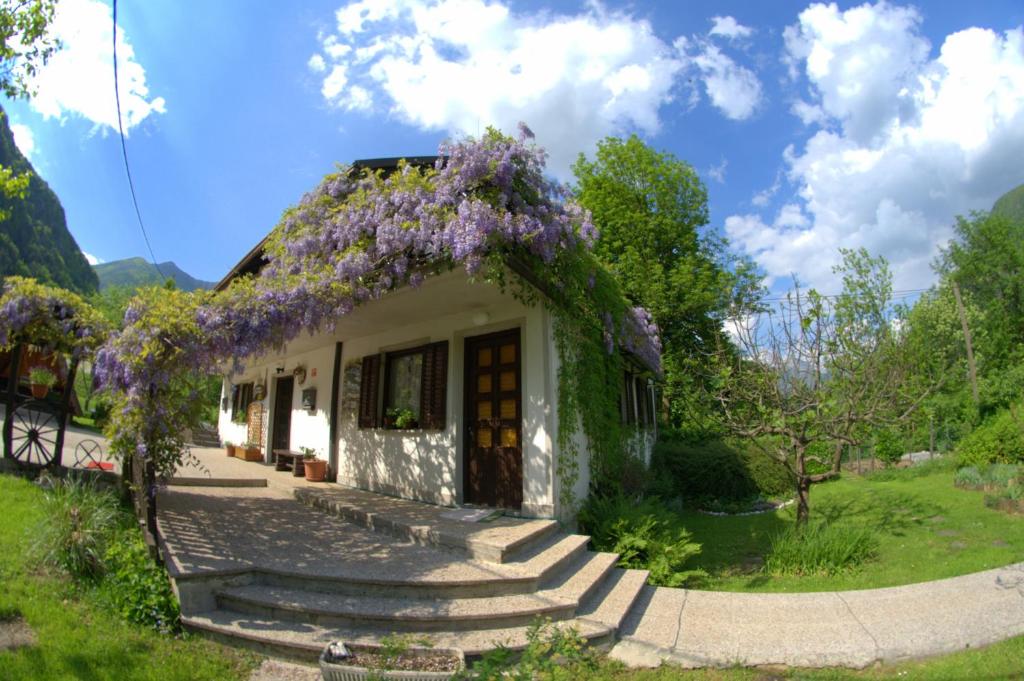 una casa con flores púrpuras en el techo en Apartma Bel en Žaga