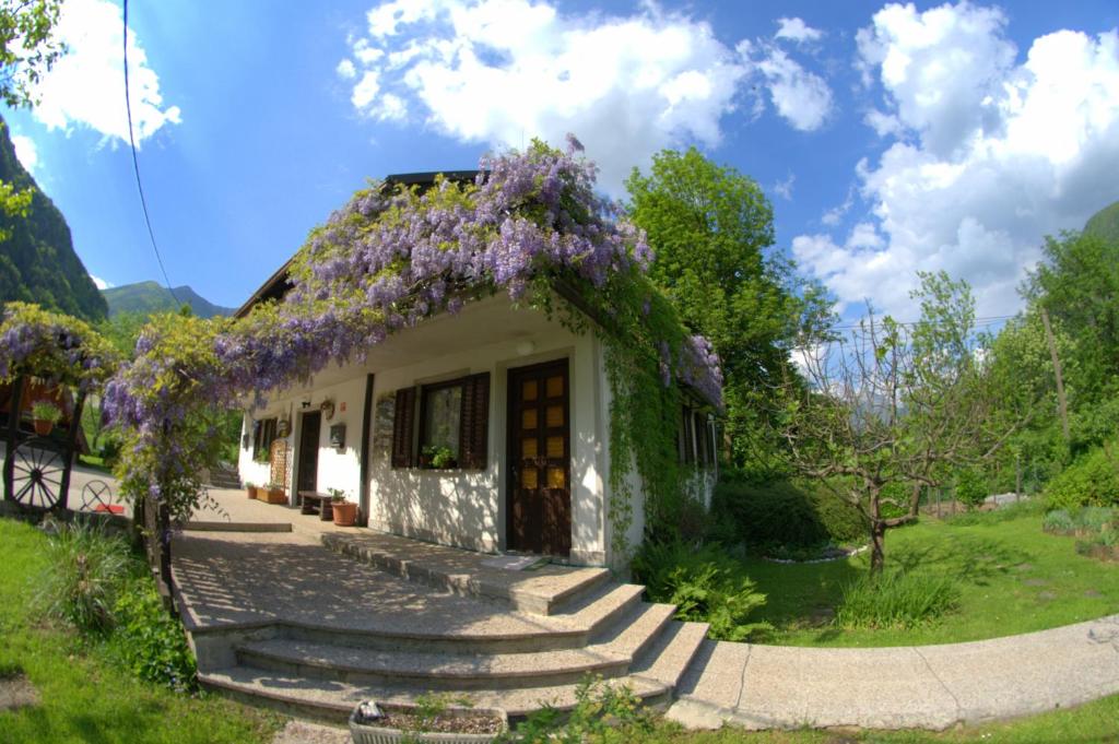 una casa con flores púrpuras en el techo en Apartma Bel, en Žaga