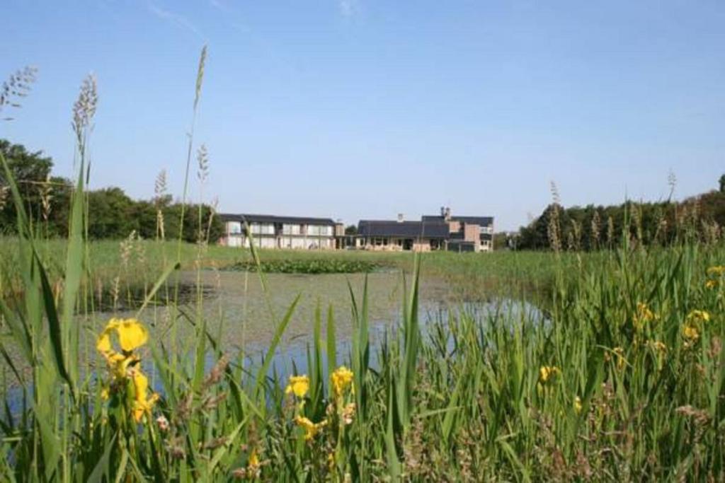 um campo com flores amarelas na frente de uma massa de água em Strandhotel de Horn em Callantsoog