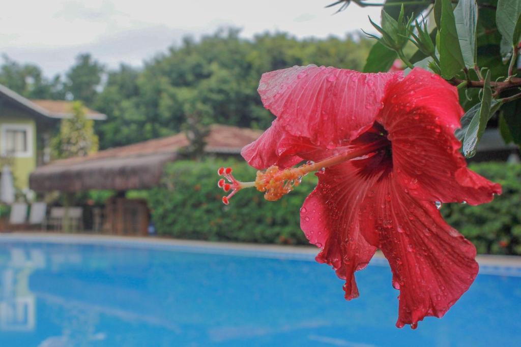  Recanto da Mata Pipa