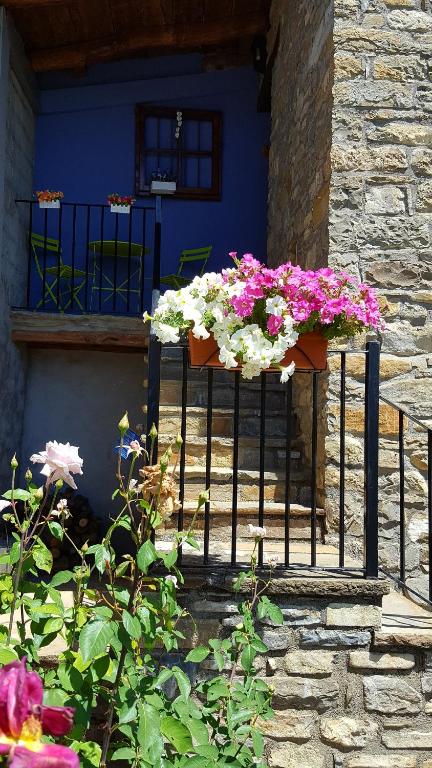 Zahrada ubytování Apartamentos La Borda Castillon