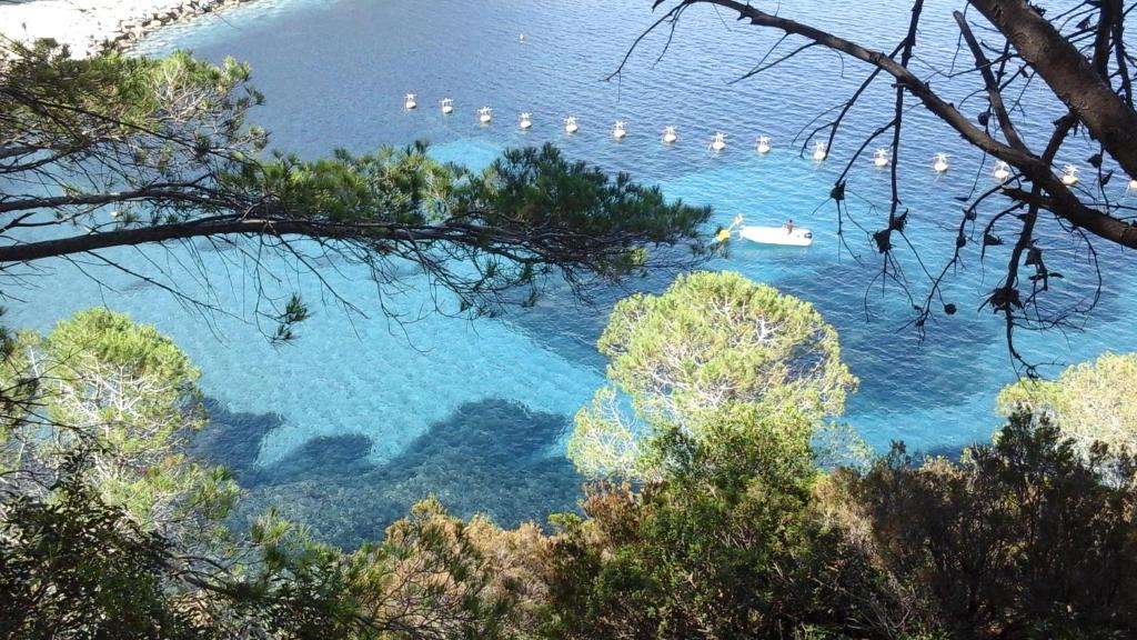 vistas a una playa con un barco en el agua en Maisonette Tommy en Capraia