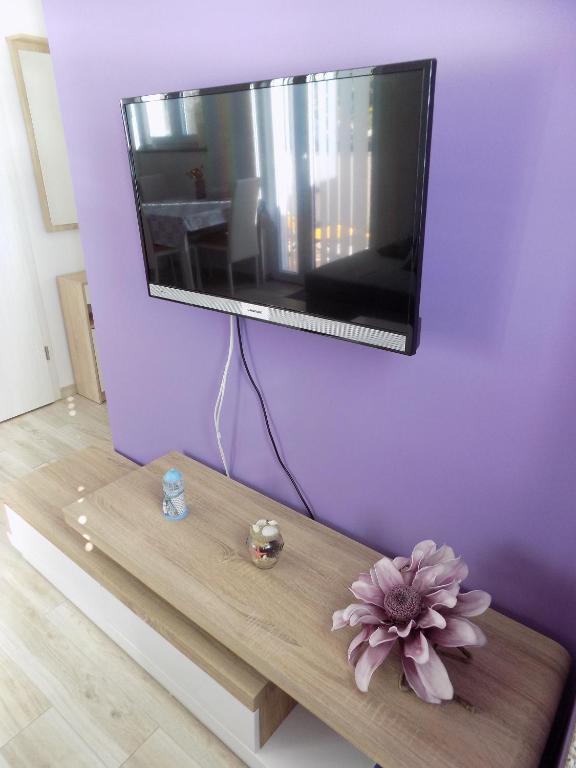 Televízia a/alebo spoločenská miestnosť v ubytovaní Apartments Žerjav