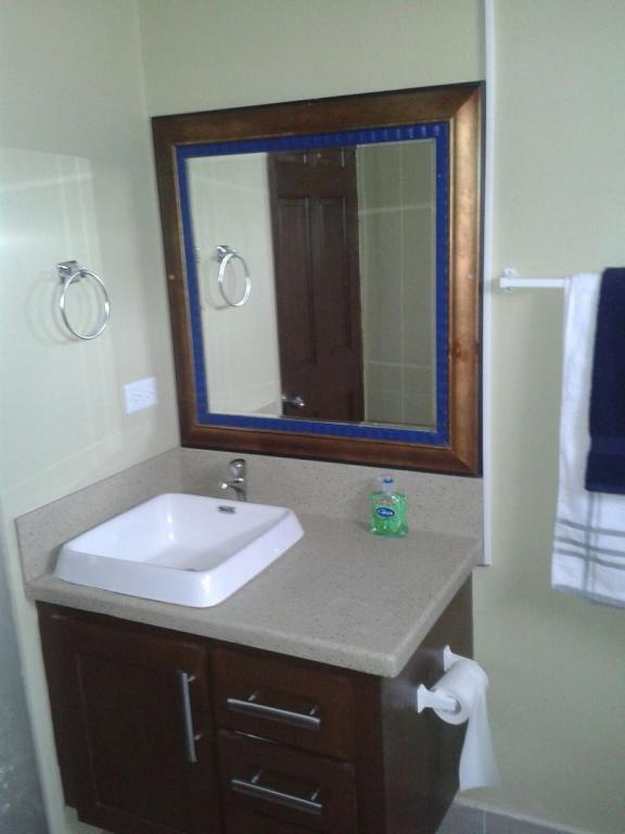 a bathroom with a sink and a mirror at Believe Caribbean Apartment in Bridgetown