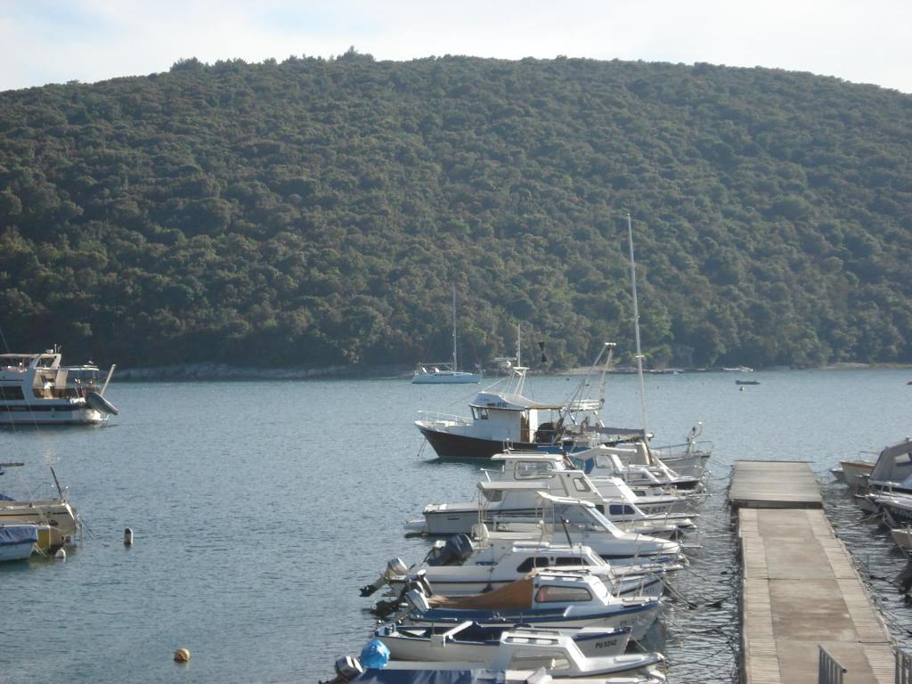 Un montón de barcos están atracados en un puerto en Apartment Tijano, en Krnica
