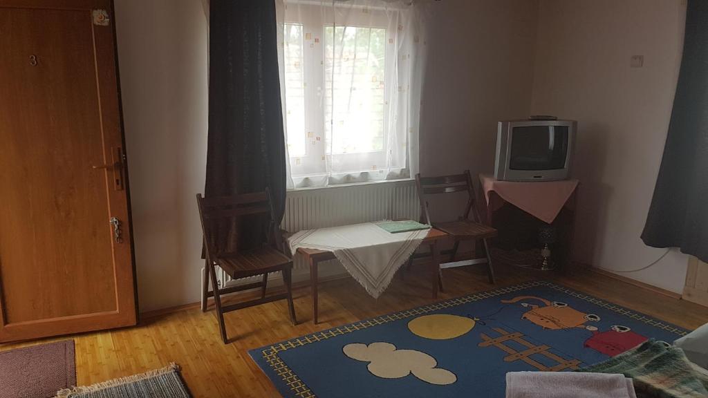 TV a/nebo společenská místnost v ubytování Pension Zamolxe