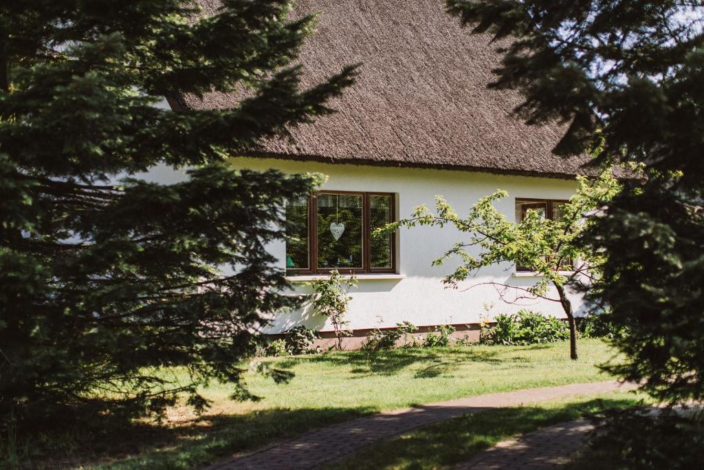 ein weißes Haus mit einem Strohdach in der Unterkunft Haus an der Tanne in Wieck