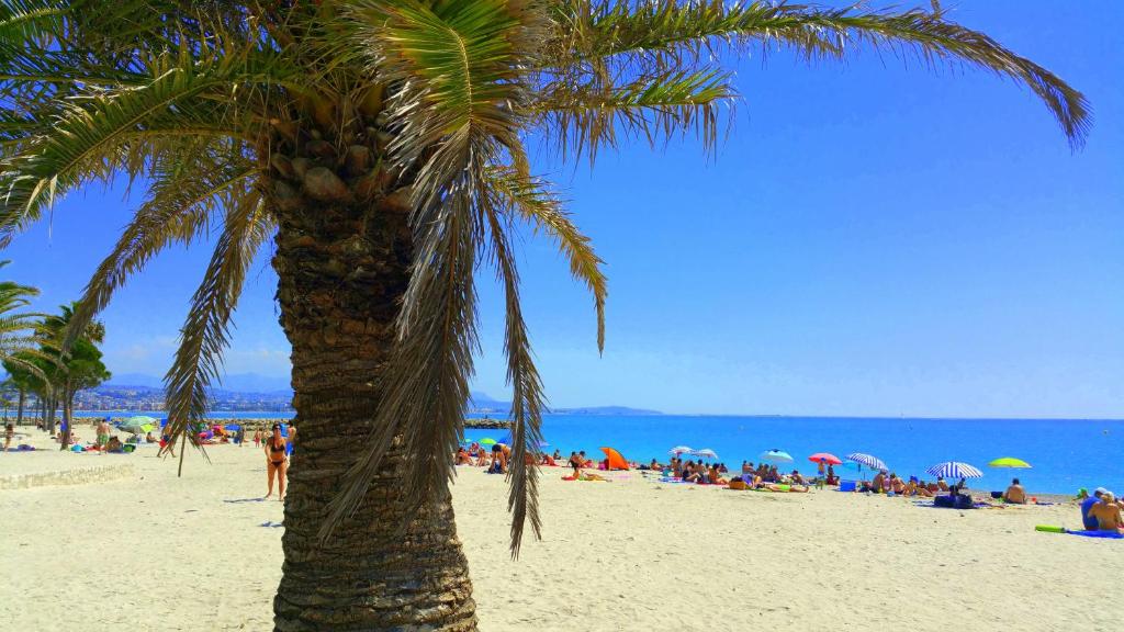un palmier sur une plage avec une foule de gens dans l'établissement Apartment hotel vue mer à 100 mètres des plages étage 5, à Villeneuve-Loubet