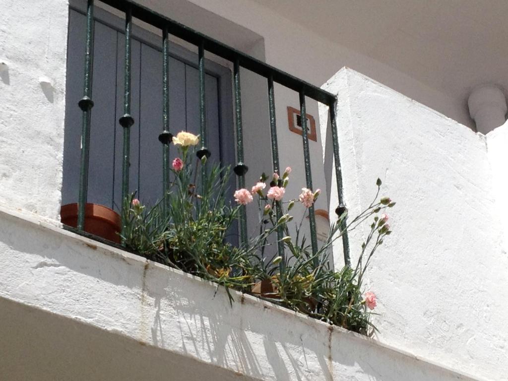 Gallery image of Apartamentos Casa la Costanilla in Vejer de la Frontera