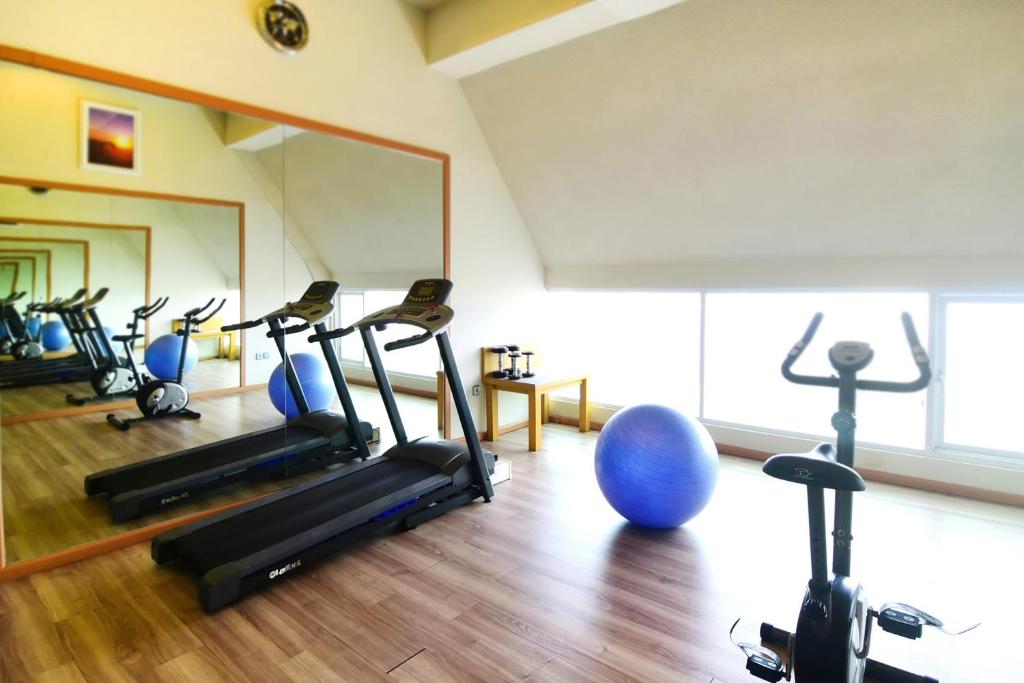 Fitness centrum a/nebo fitness zařízení v ubytování Rhadana Hotel