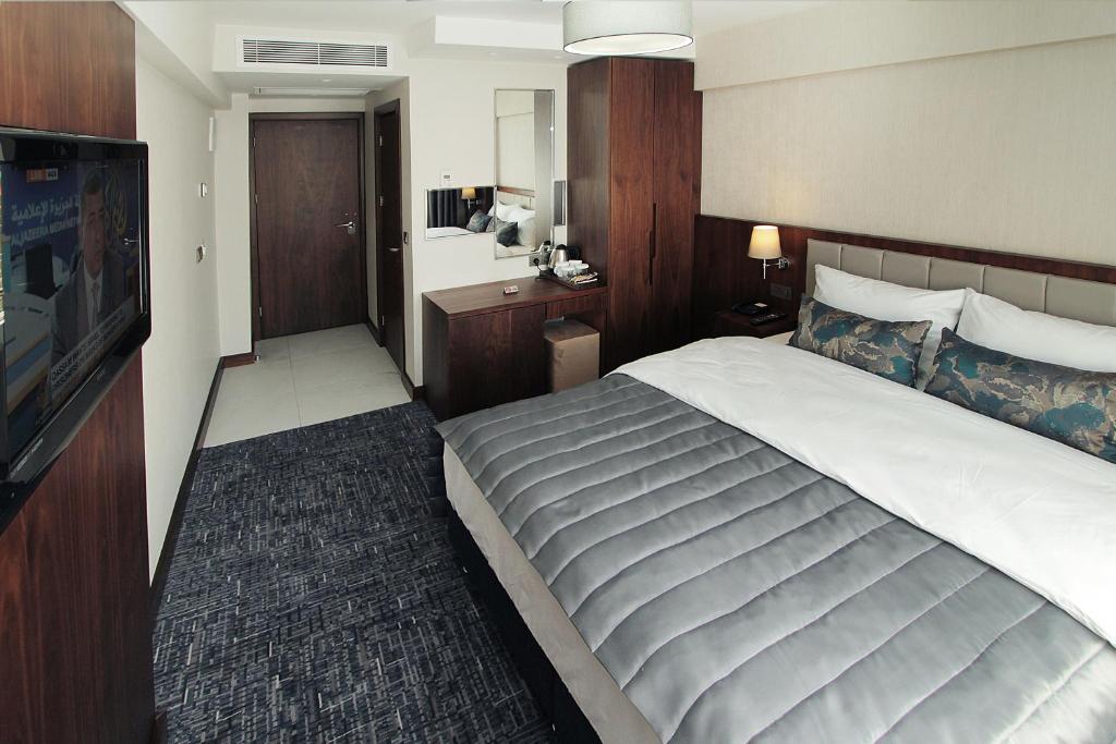 イスタンブールにあるPisa Hotelの大型ベッドとテレビが備わるホテルルームです。