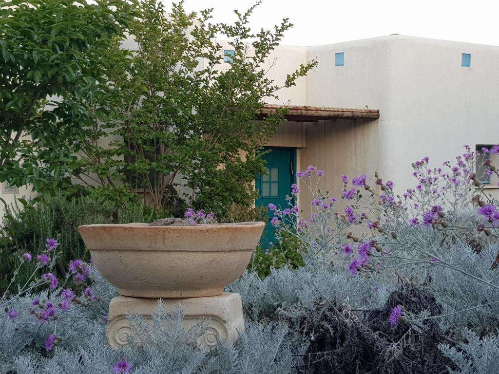 a stone planter in a garden with purple flowers at Nano's Place in Ma‘yan Barukh