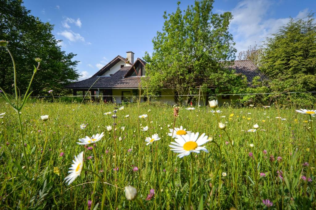 Příroda nedaleko apartmánu