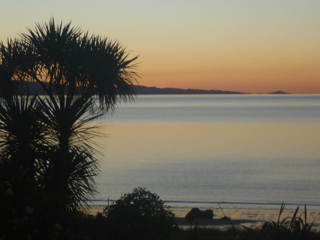 um pôr-do-sol sobre o oceano com uma palmeira em Pohutukawa Coast BnB em Te Puru