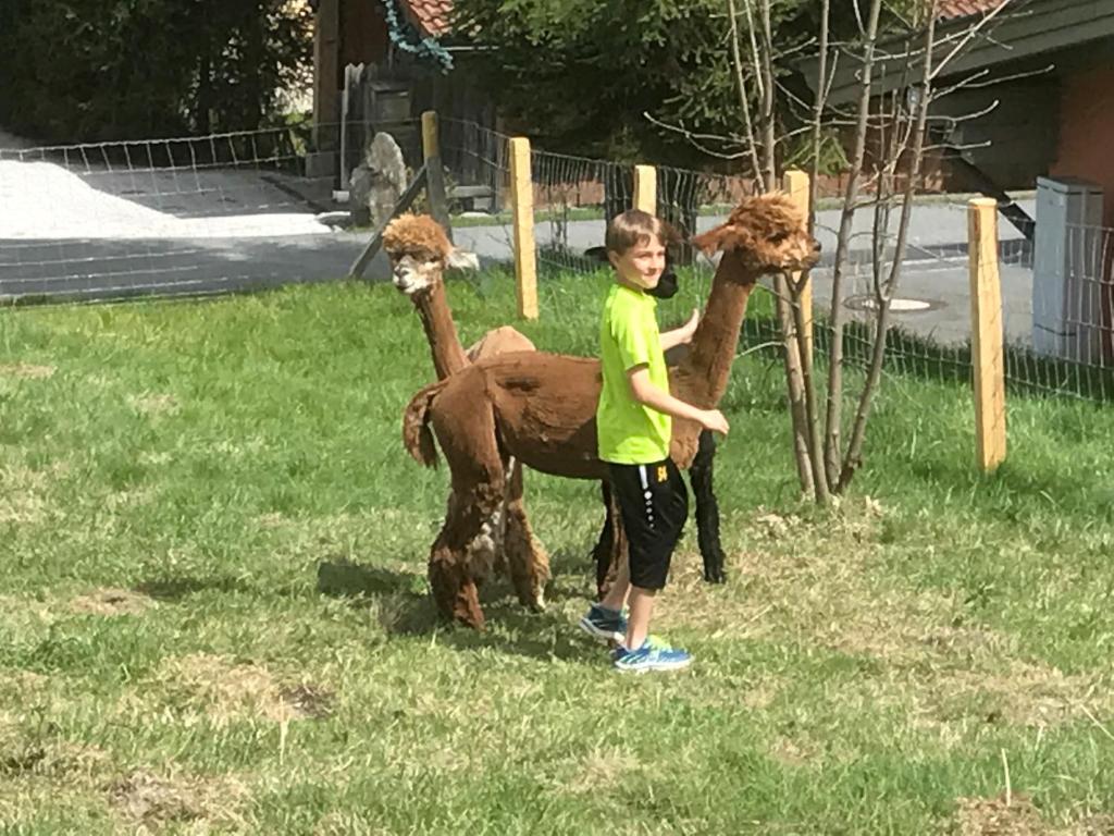 MyApart 1709, Jochberg (updated prices 2026)