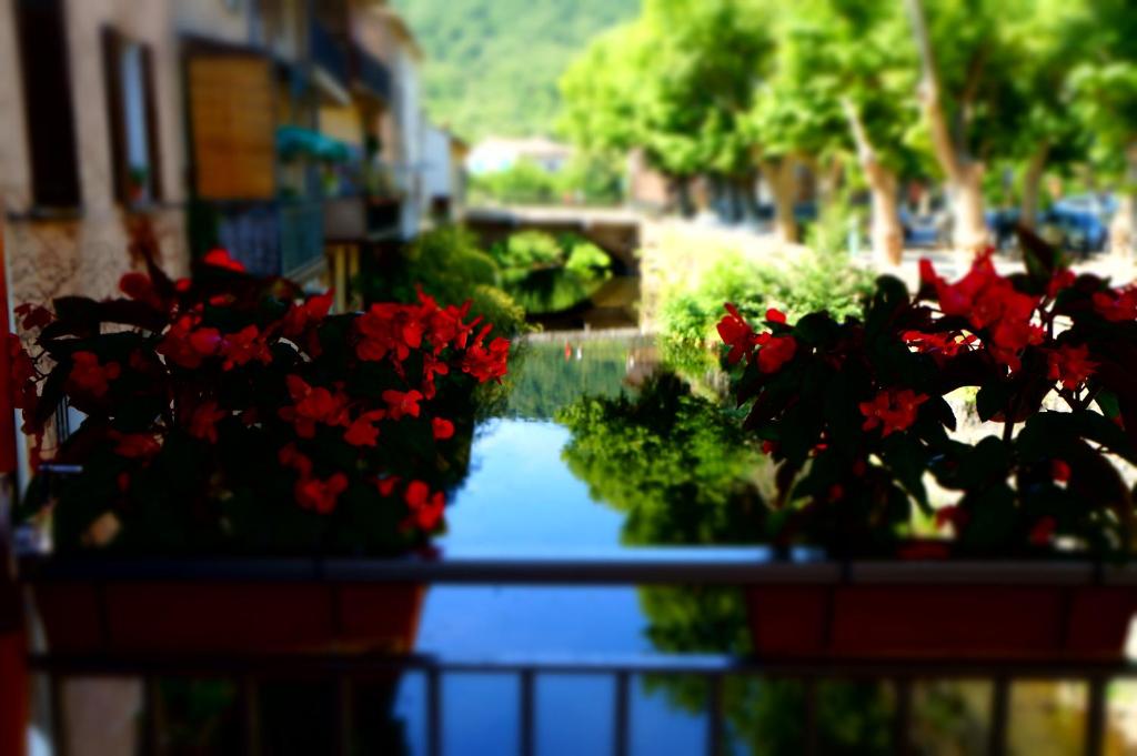 Zahrada ubytování Hotel Restaurant des Maures