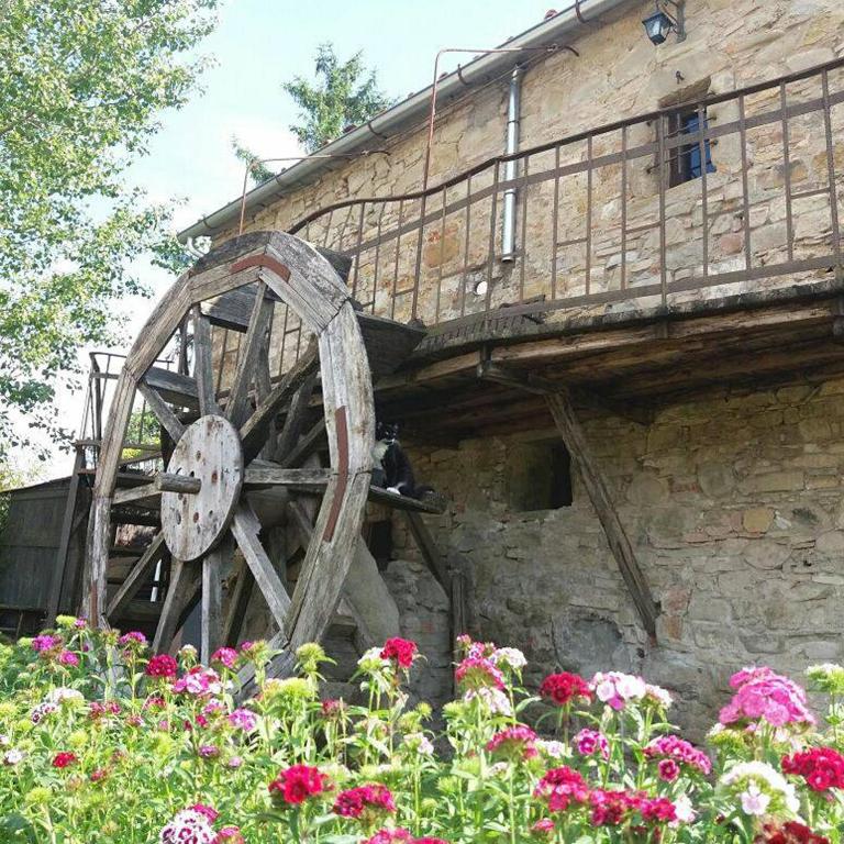 Zahrada ubytování Podere Casina Rossa