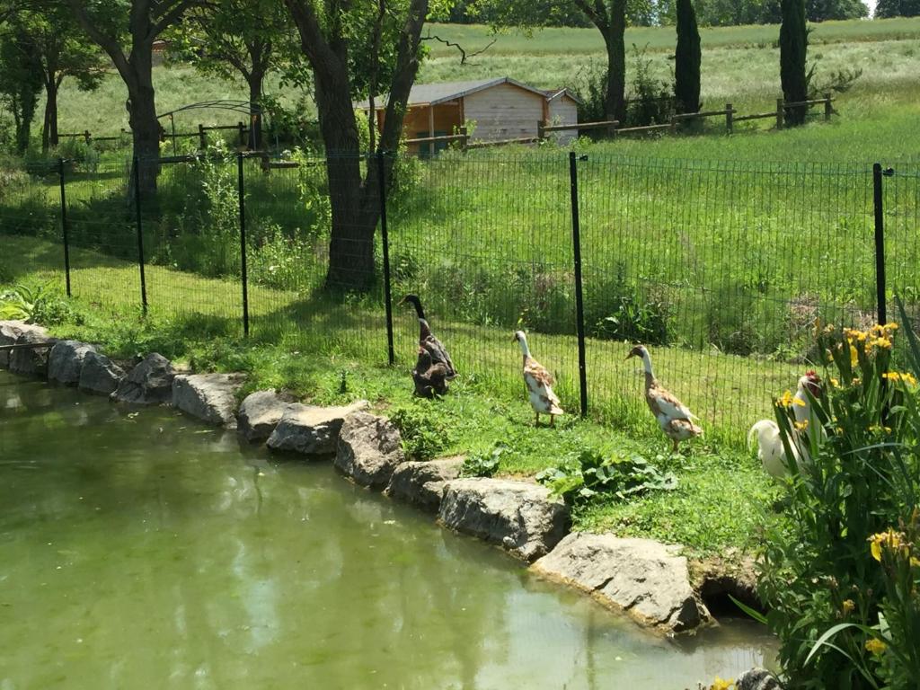 Příroda nedaleko bed and breakfast