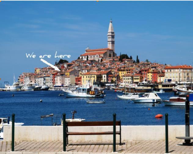 a bench in a harbor with boats in the water at Apartment Santa Croce Free Parking in Rovinj