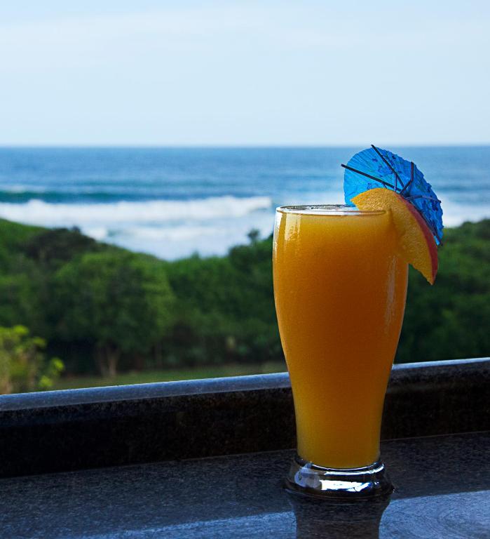 a glass of orange juice with an orange slice at Seven Seas SA in Amanzimtoti