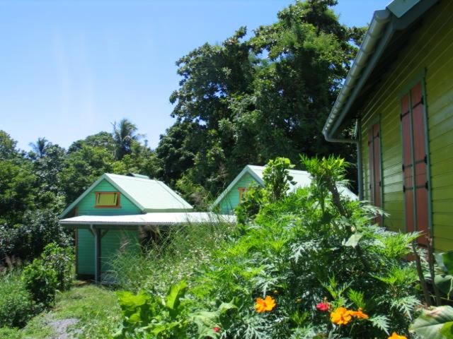 un jardin fleuri et une maison verte dans l'établissement Gites "An-TIKAZ-La", à Trois-Rivières