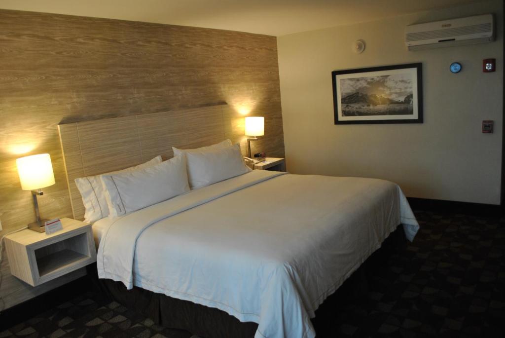 Holiday Inn Express Toluca by IHG - Standard King Room - Accessible