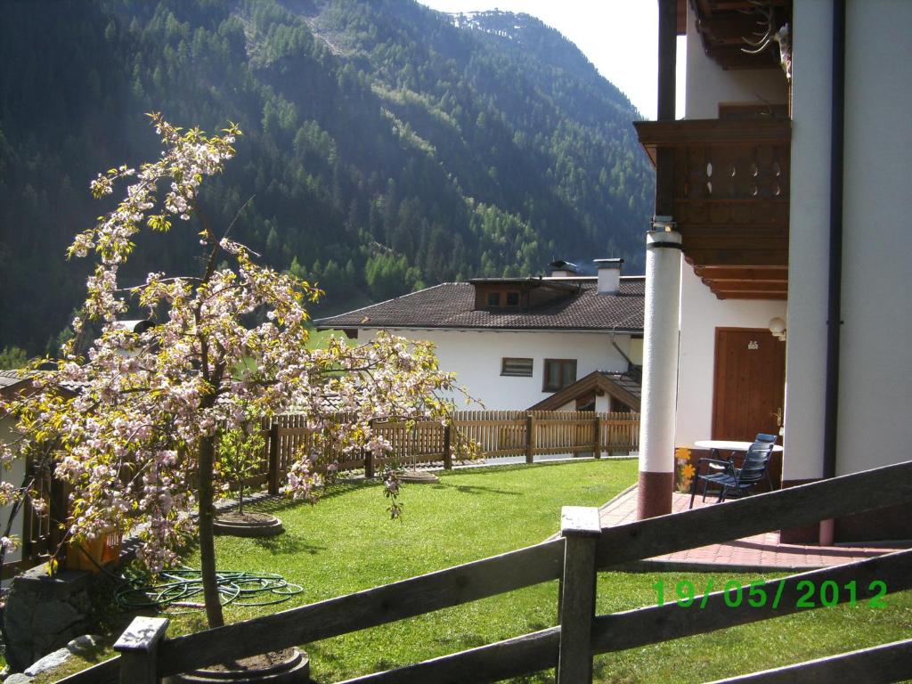 a house with a tree in a yard with a fence at Apart Dorfblick in Kaunertal