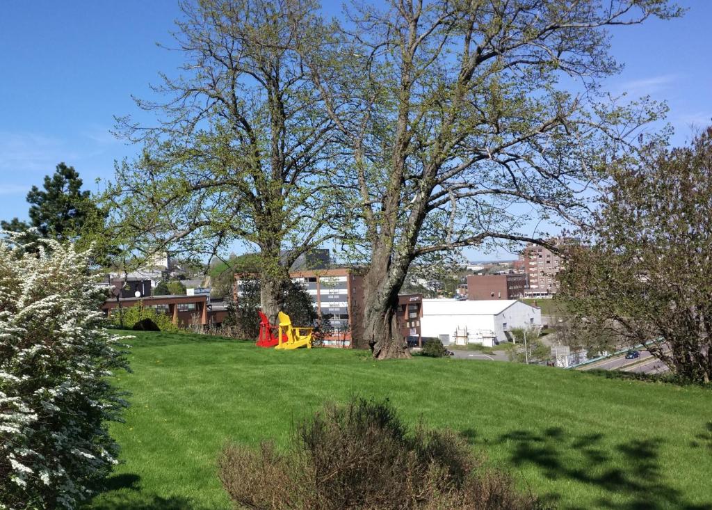 un campo verde con un árbol y un parque infantil en Homeport Historic B&B, en Saint John
