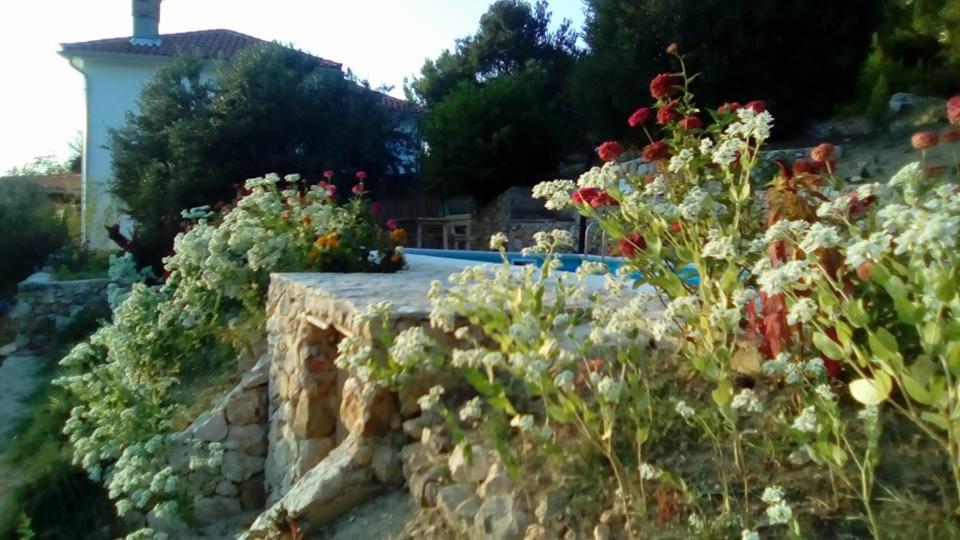 Vonkajšia záhrada v ubytovaní Villa Mora