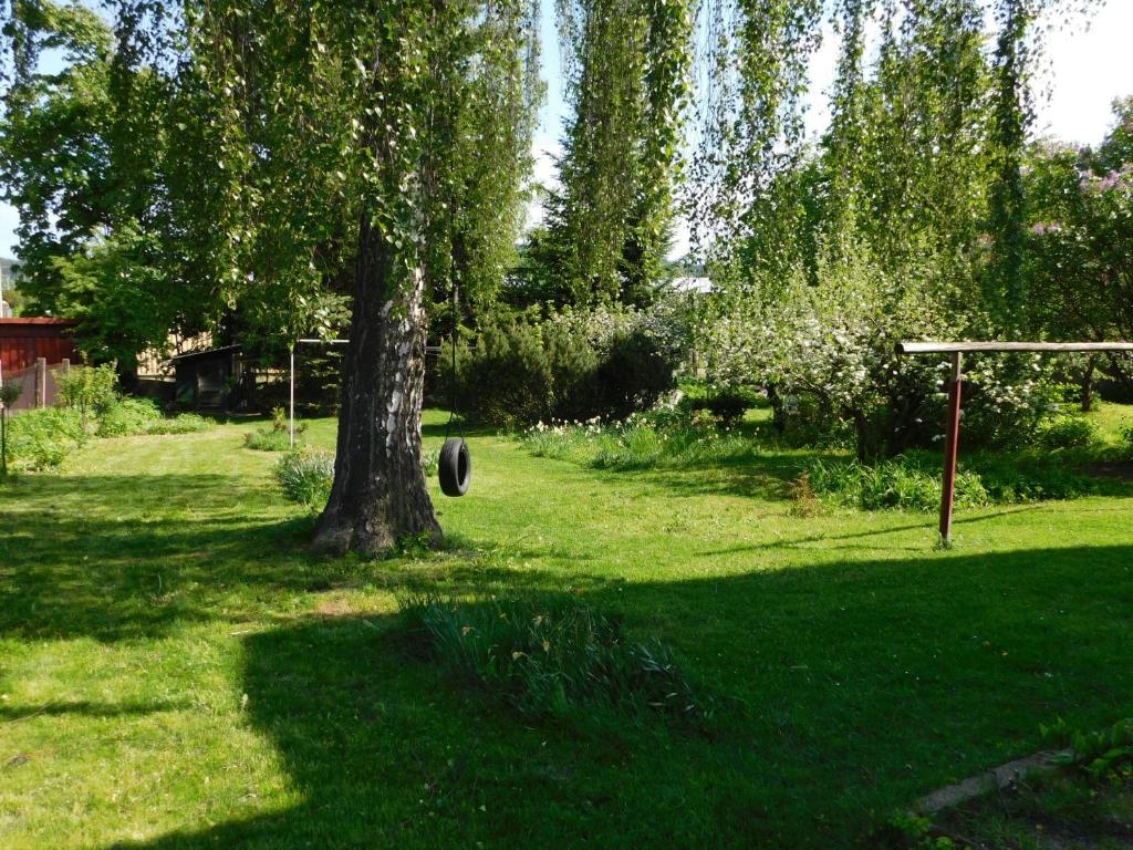 Zahrada ubytování Mladé Buky 261