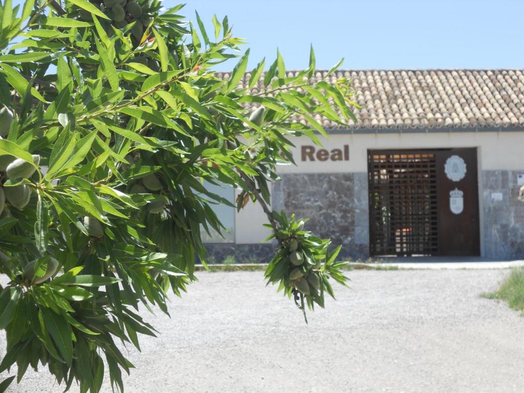 Fotografie z fotogalerie ubytování Albergue Coto Real de la Marina v destinaci Cehegín