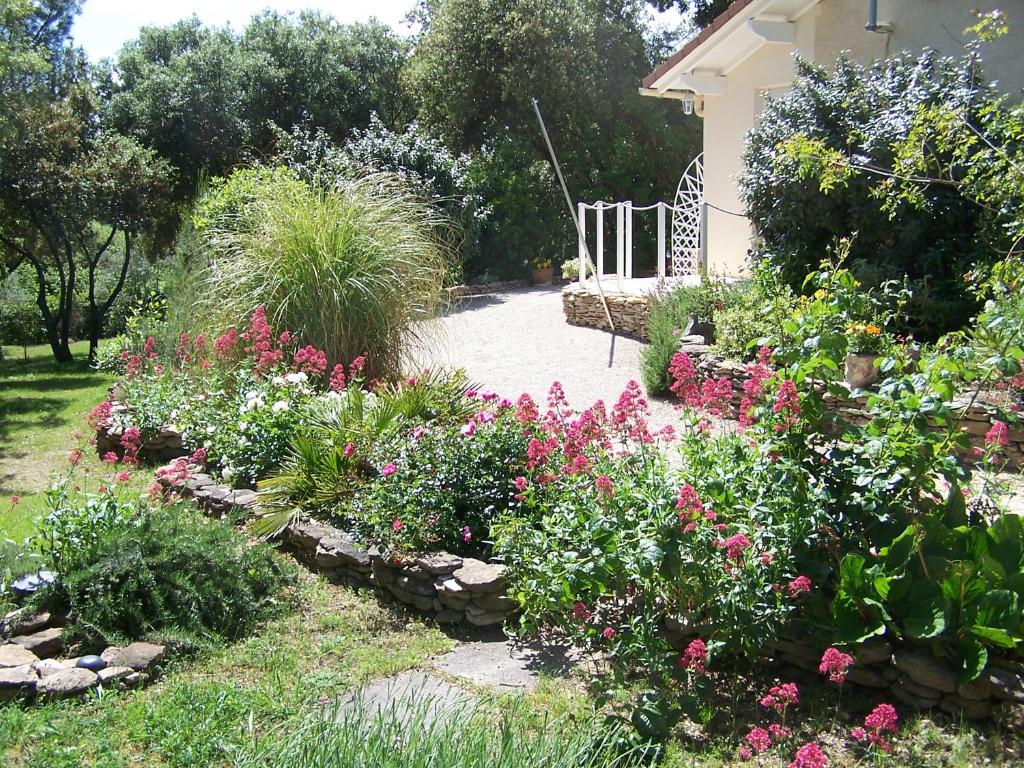 un jardin avec des fleurs roses et un chemin dans l'établissement Les Florides, à LʼIsle-sur-la-Sorgue
