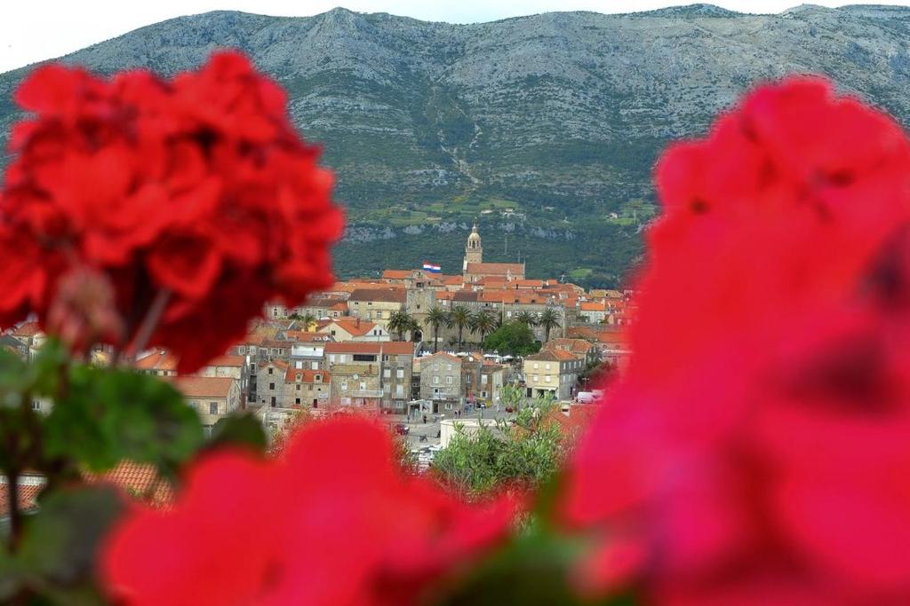 a city with red flowers in front of a town at Accommodation Drasko in Korčula
