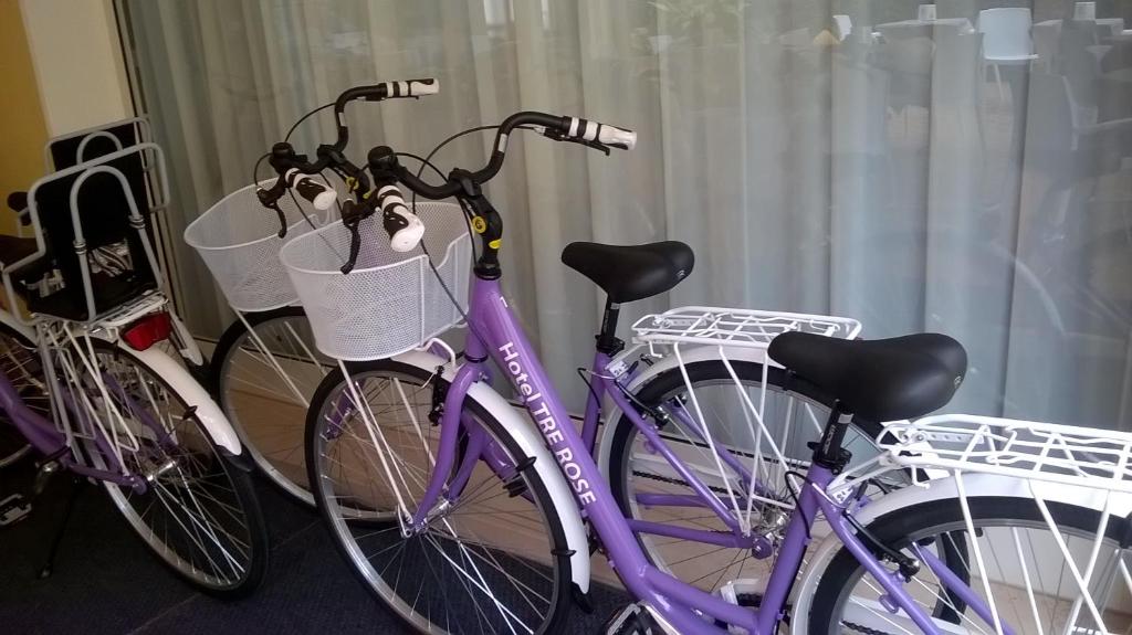 Jízda na kole v ubytování Hotel Tre Rose nebo okolí