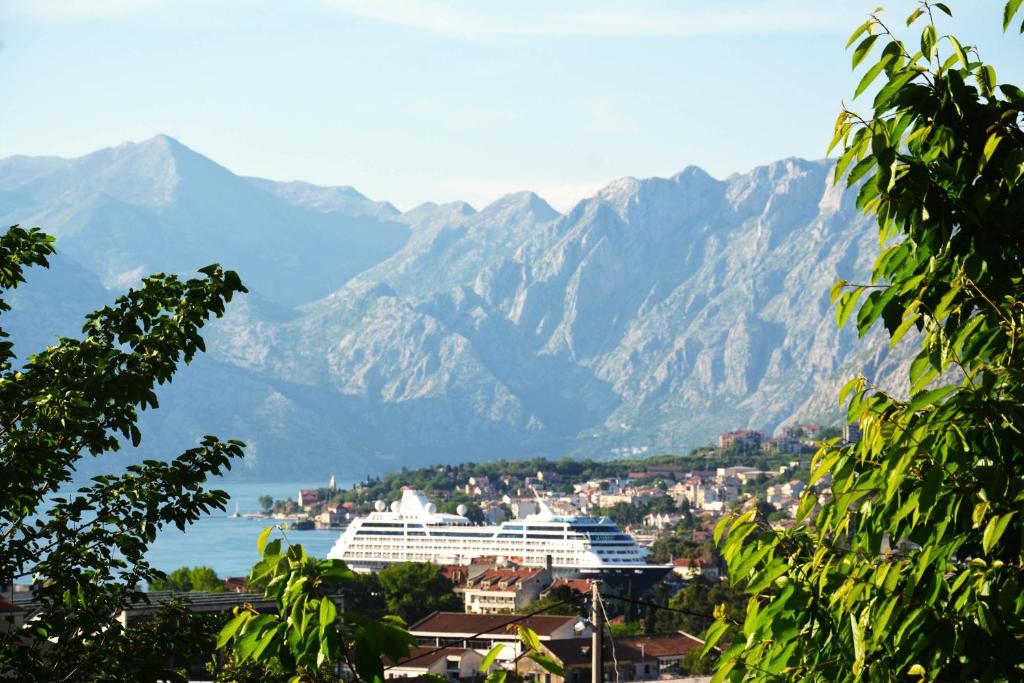 a cruise ship in the water with mountains in the background at Apartment Milica in Kotor