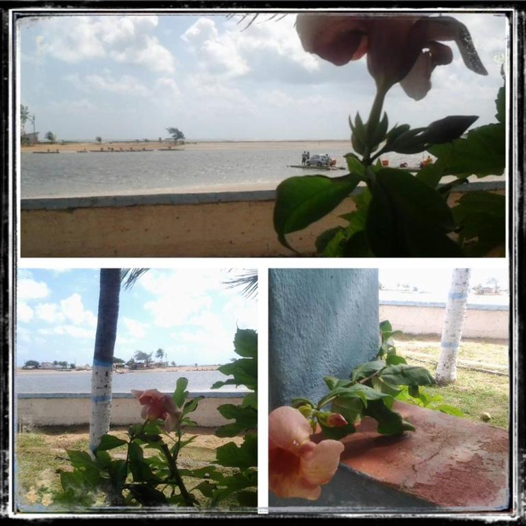  Passarinho`s Hospedagem