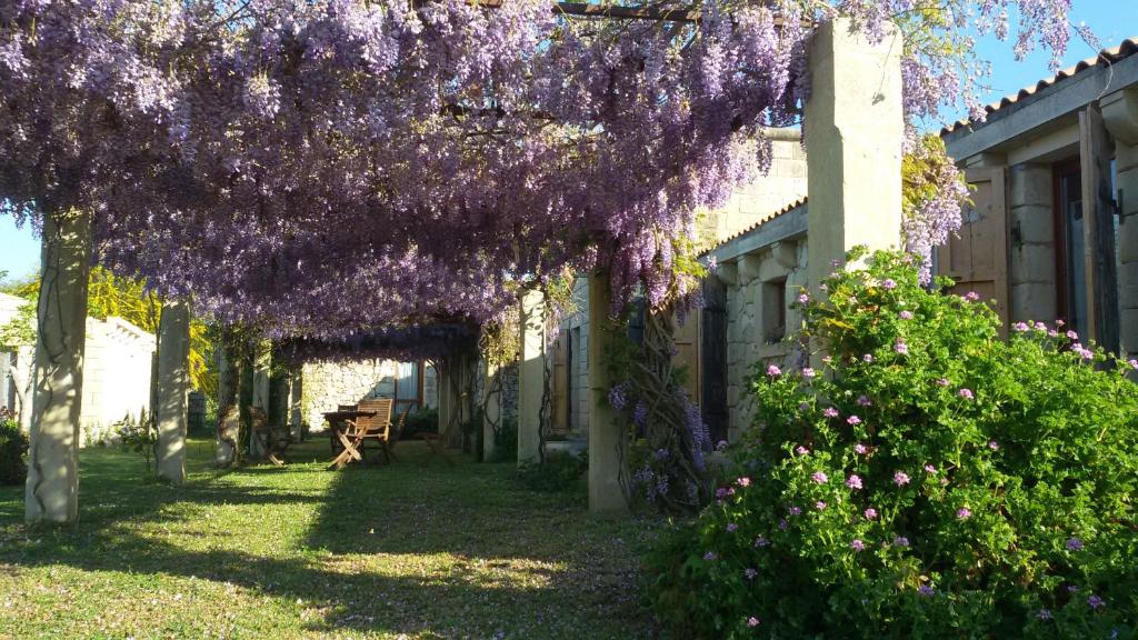 un jardín con glicinas púrpuras colgando de un edificio en Masseria Copertini, en Vernole