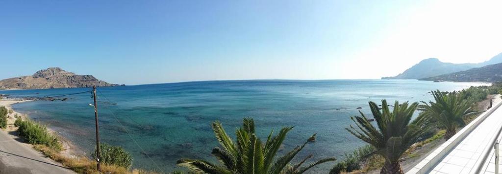 vistas a una playa con agua azul y palmeras en Skinos Apartments, en Plakias